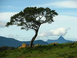 HORTON PLAINS - WORLD'S END